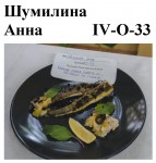 06. Шумилина